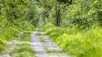 Gemütliche Wanderung "Naturgspüri"